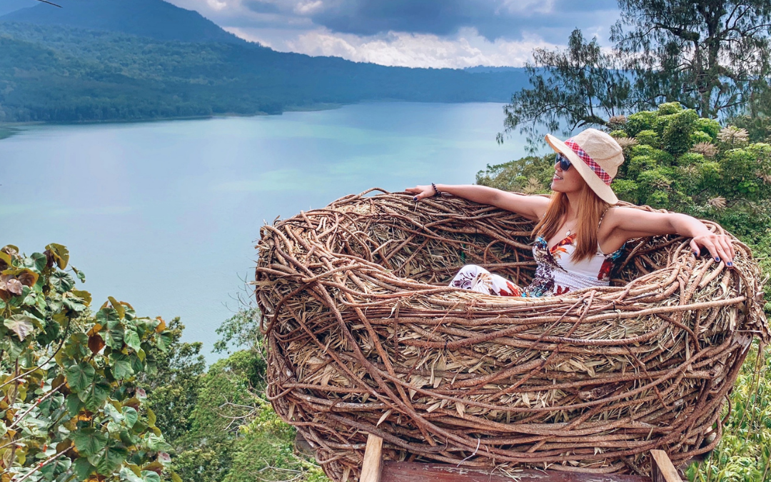 Who’s building nests in your hair?