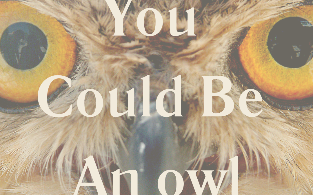 You Could Be An owl