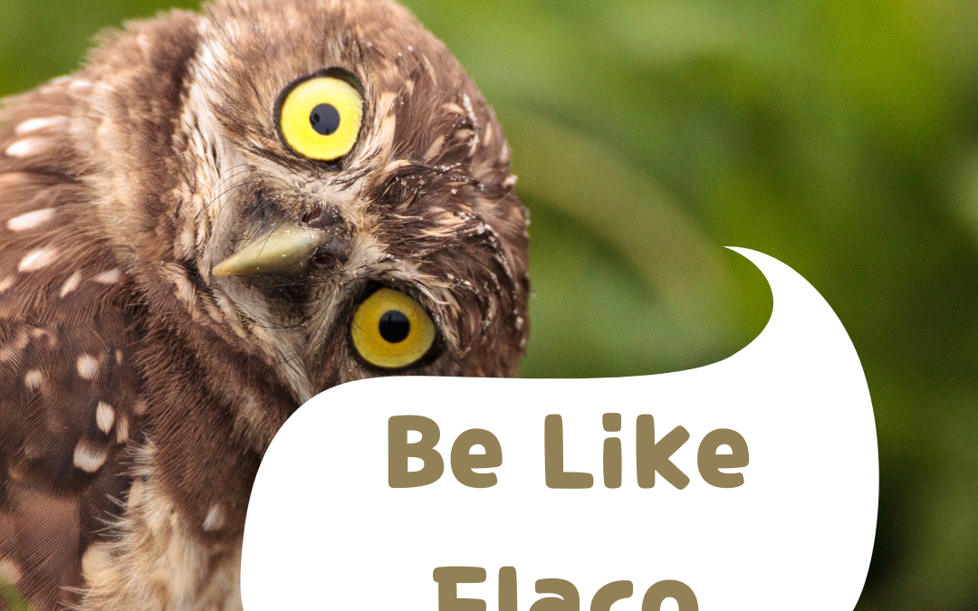 Be Like Flaco