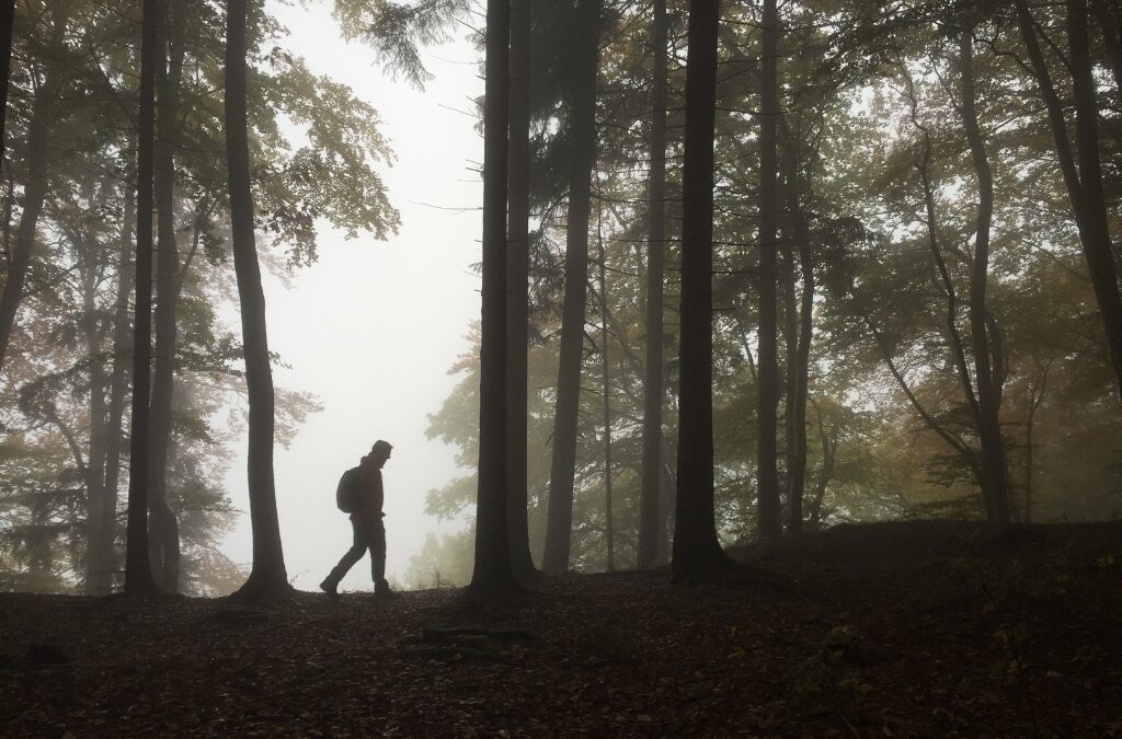 Lost In A Dark Wood